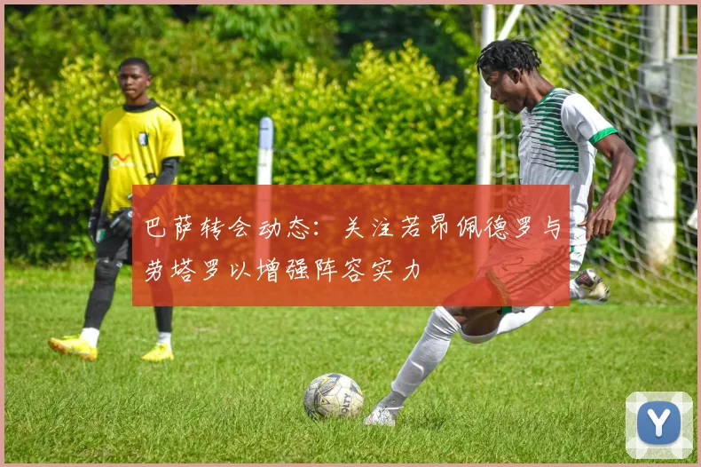 巴萨转会动态：关注若昂佩德罗与劳塔罗以增强阵容实力